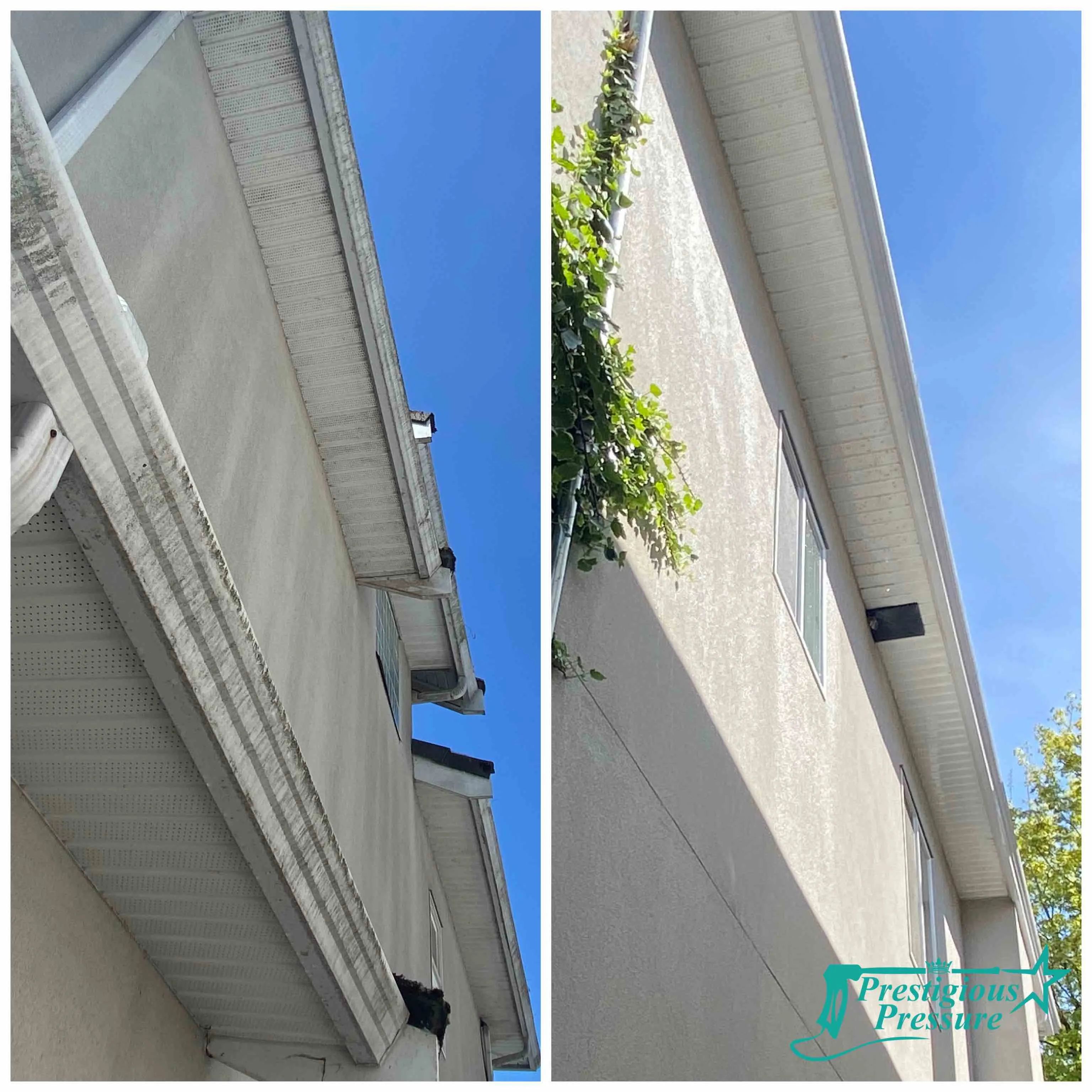 Residential gallery image 25