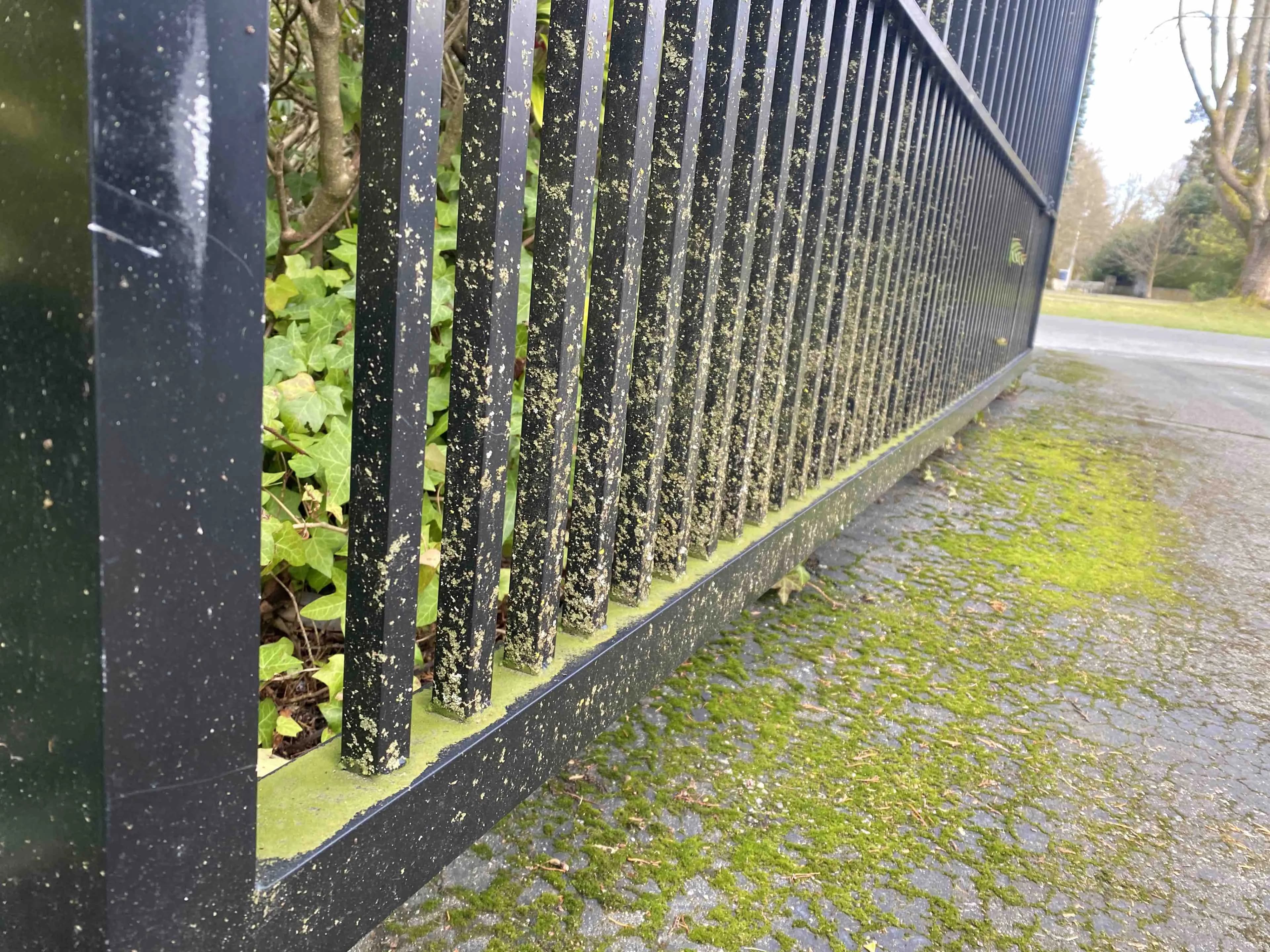 Before Driveway Moss Removal