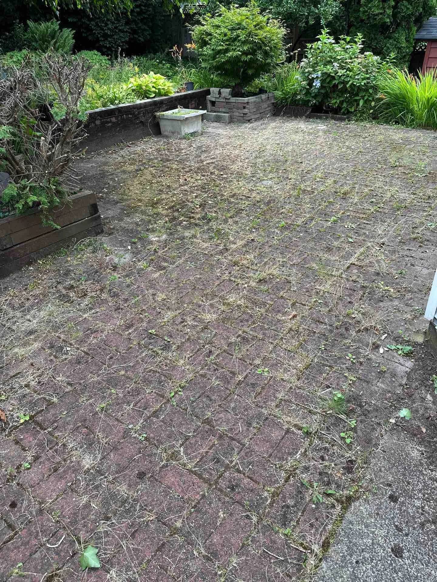 Before Patio Pressure Washing