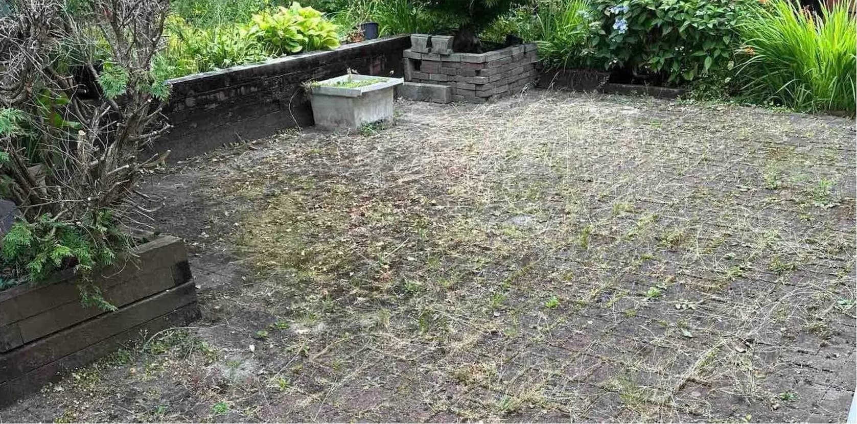 Burnaby paver patio with weeds and moss growing through the joints