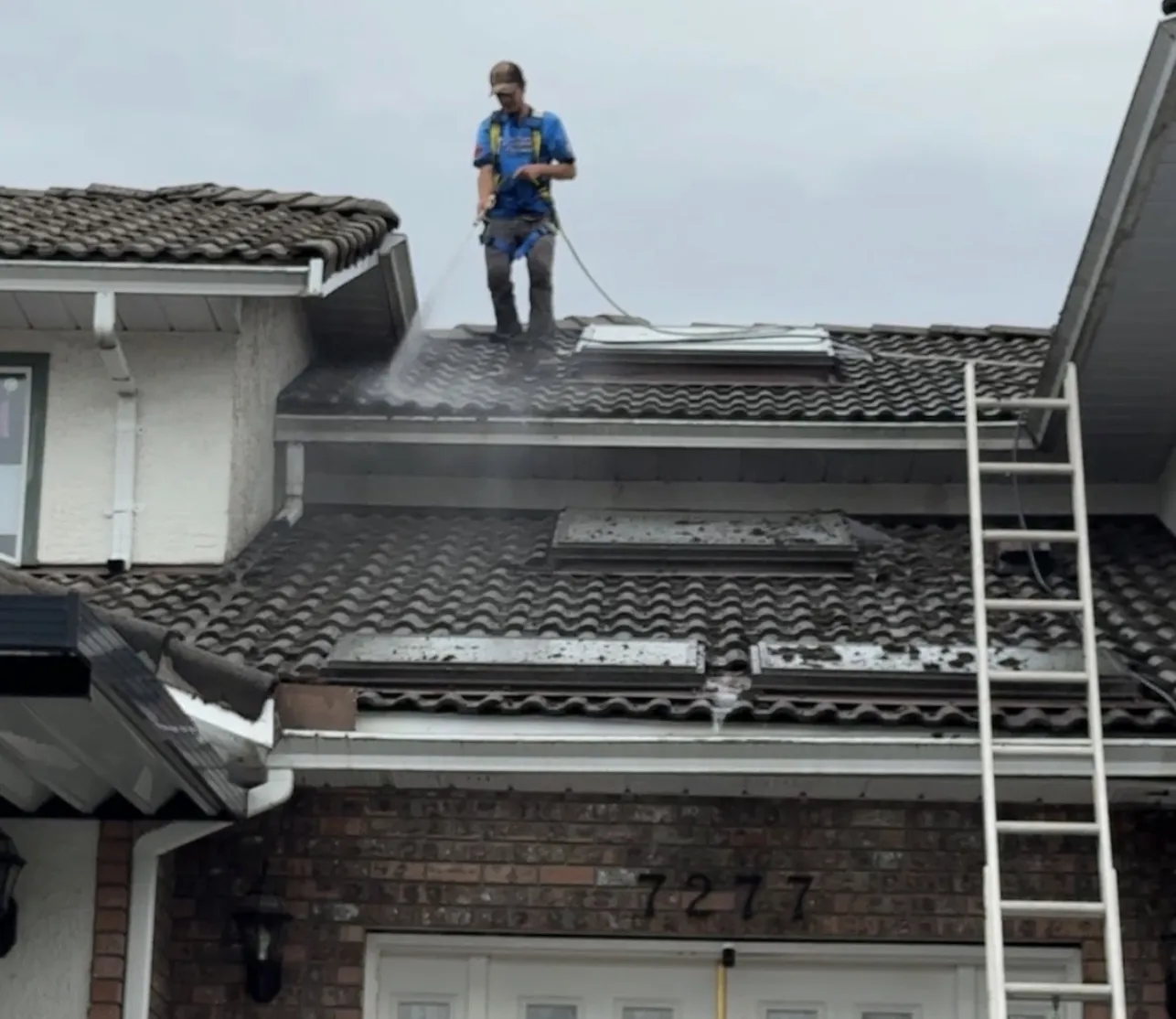 Residential gallery image 17