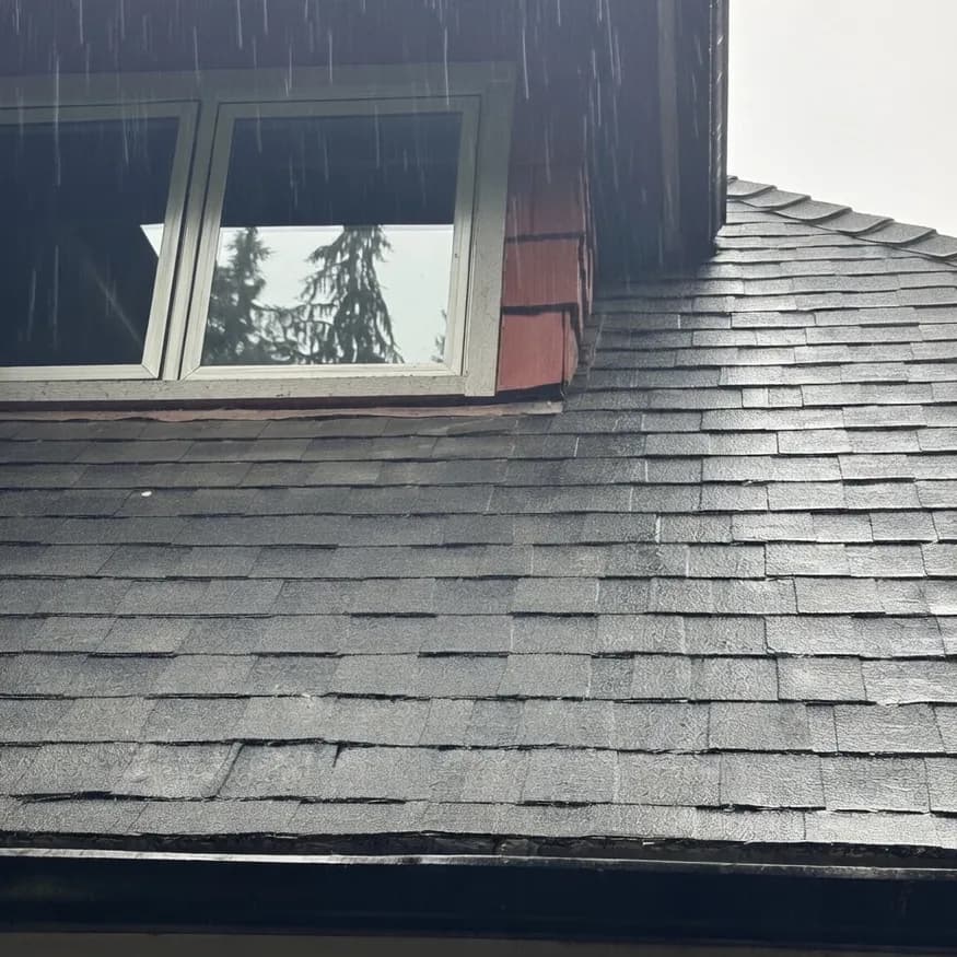 The same roof cleaned and the gutters cleared and flushed