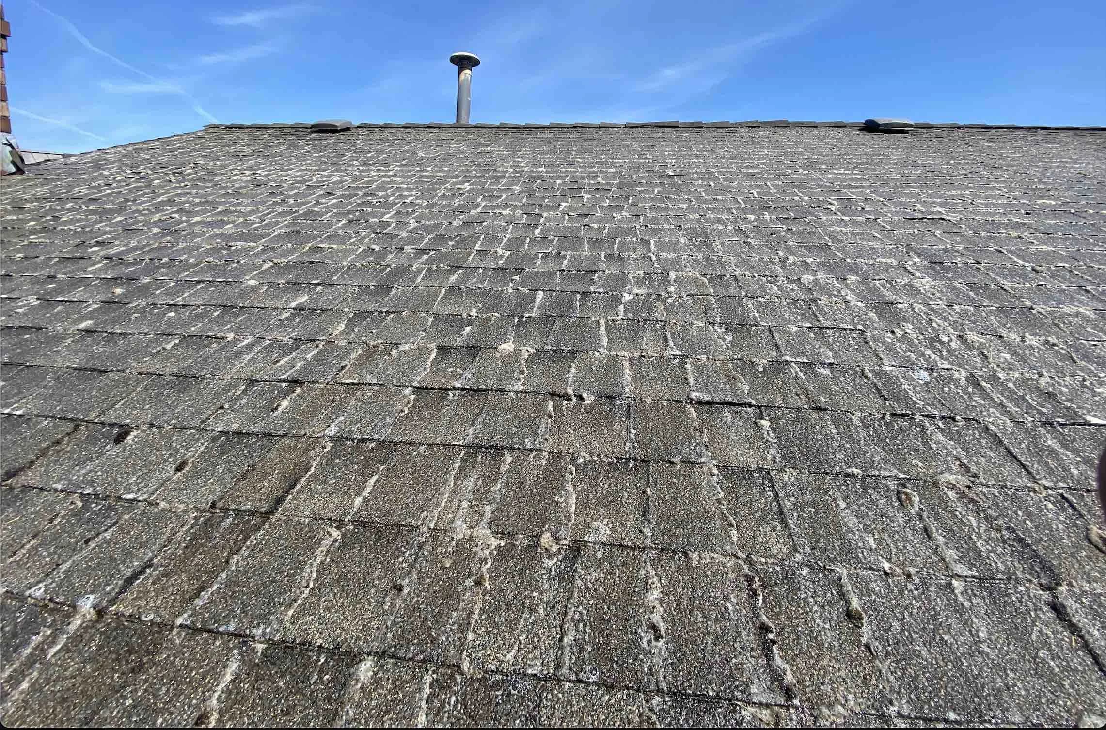 The same roof after low-pressure soft washing, streaking gone