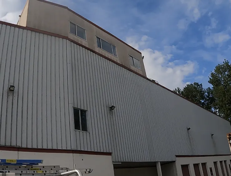 Commercial building fascia and gutter run in Burnaby before cleaning