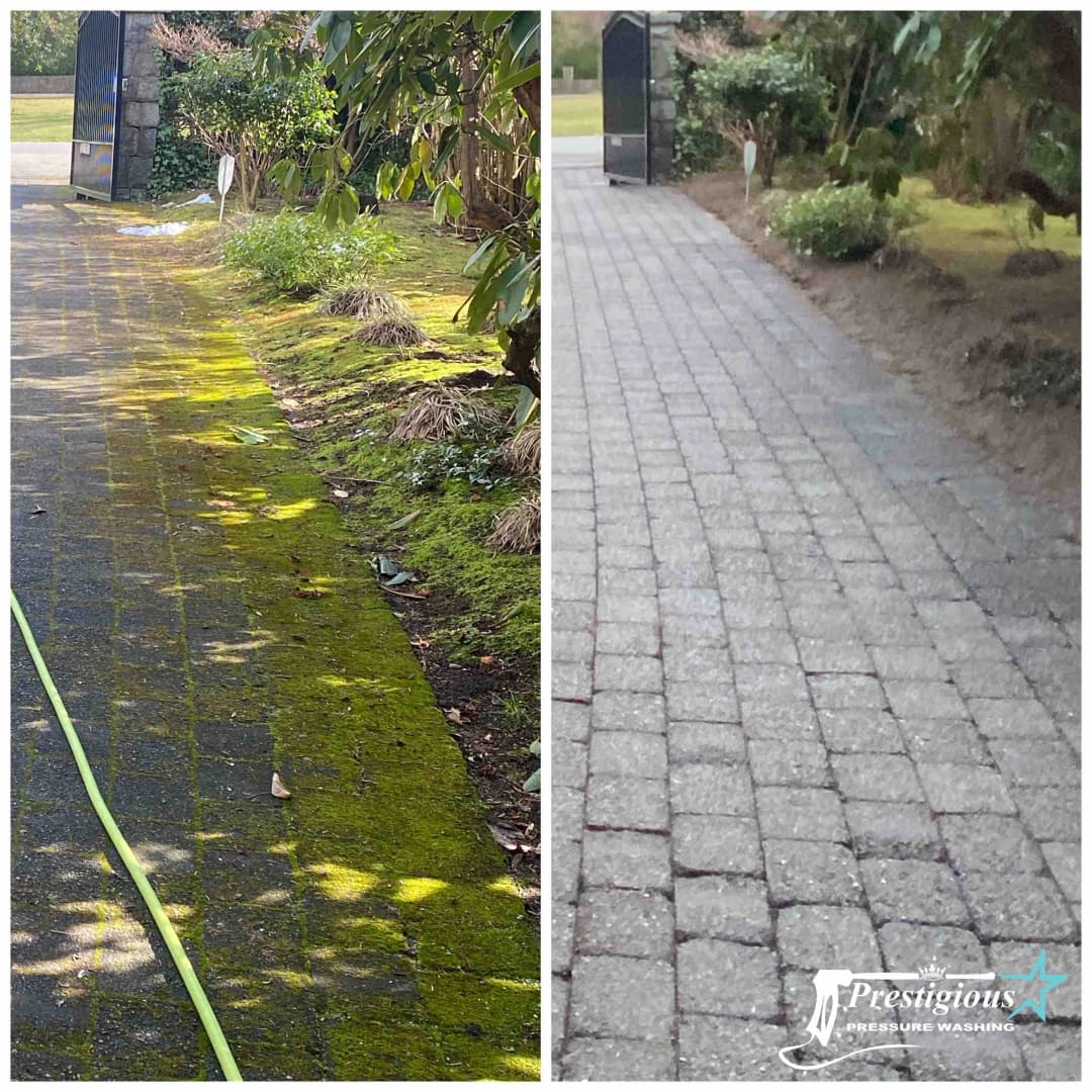 service-box-6-image2