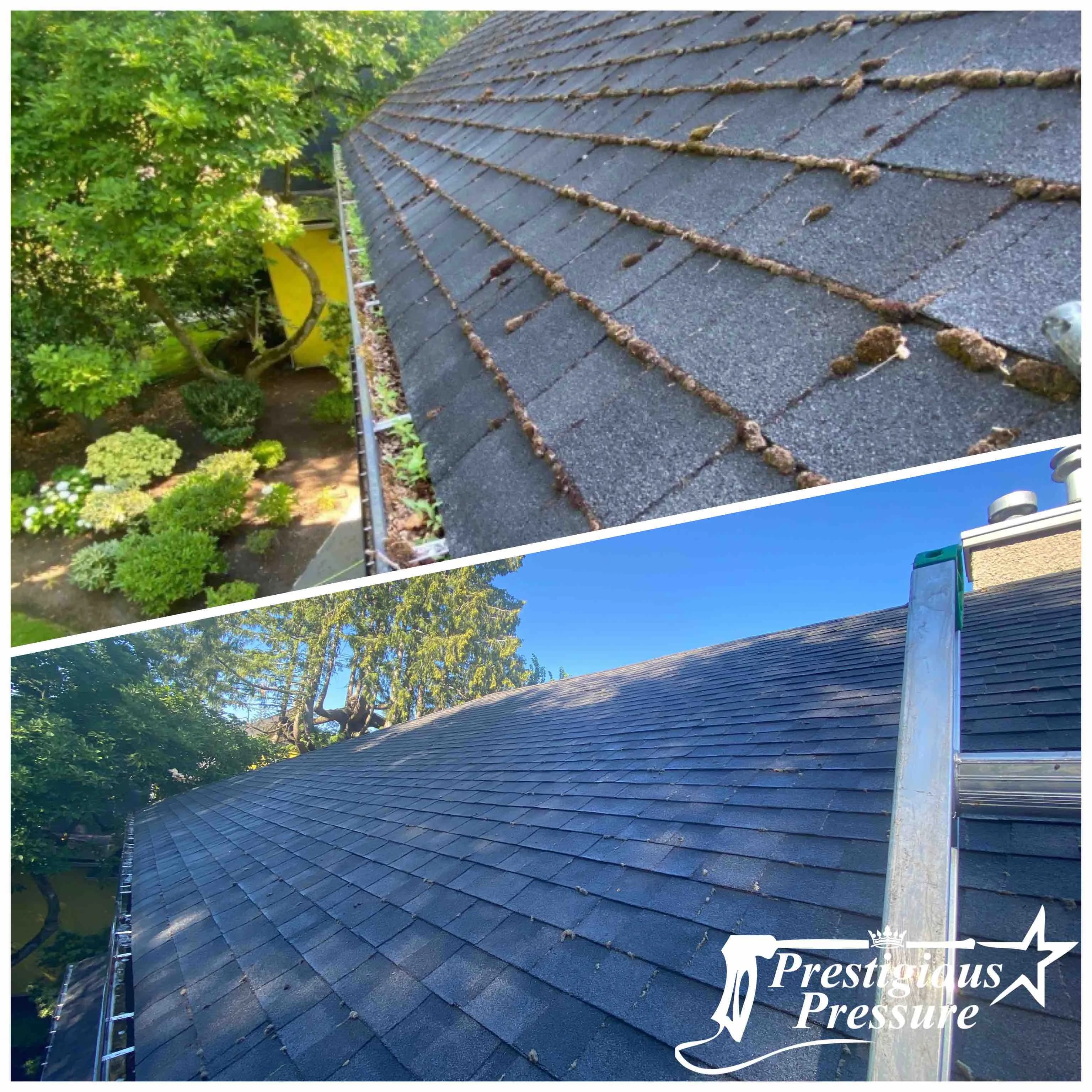 Roof soft washing in progress on a home in Burnaby, BC