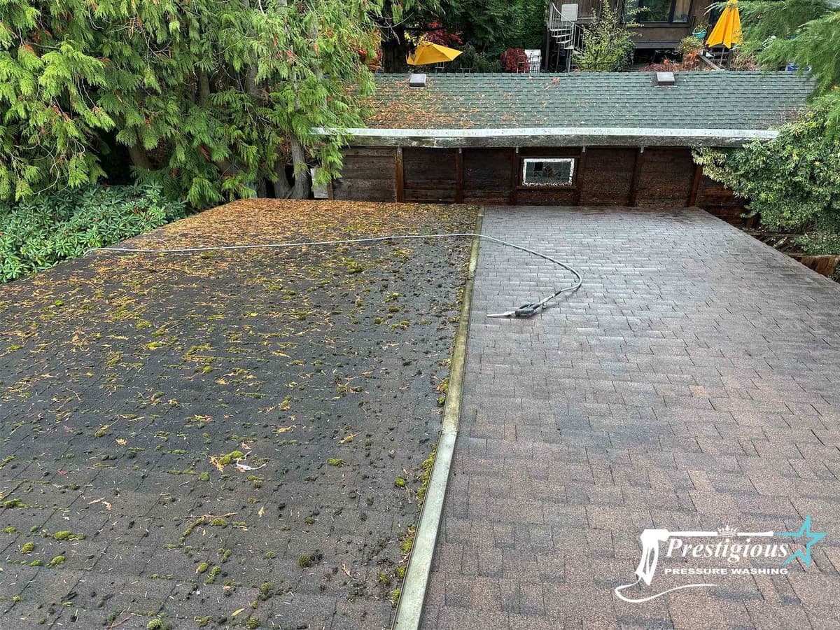 Vancouver moss cleaning and roof soft wash cleaning