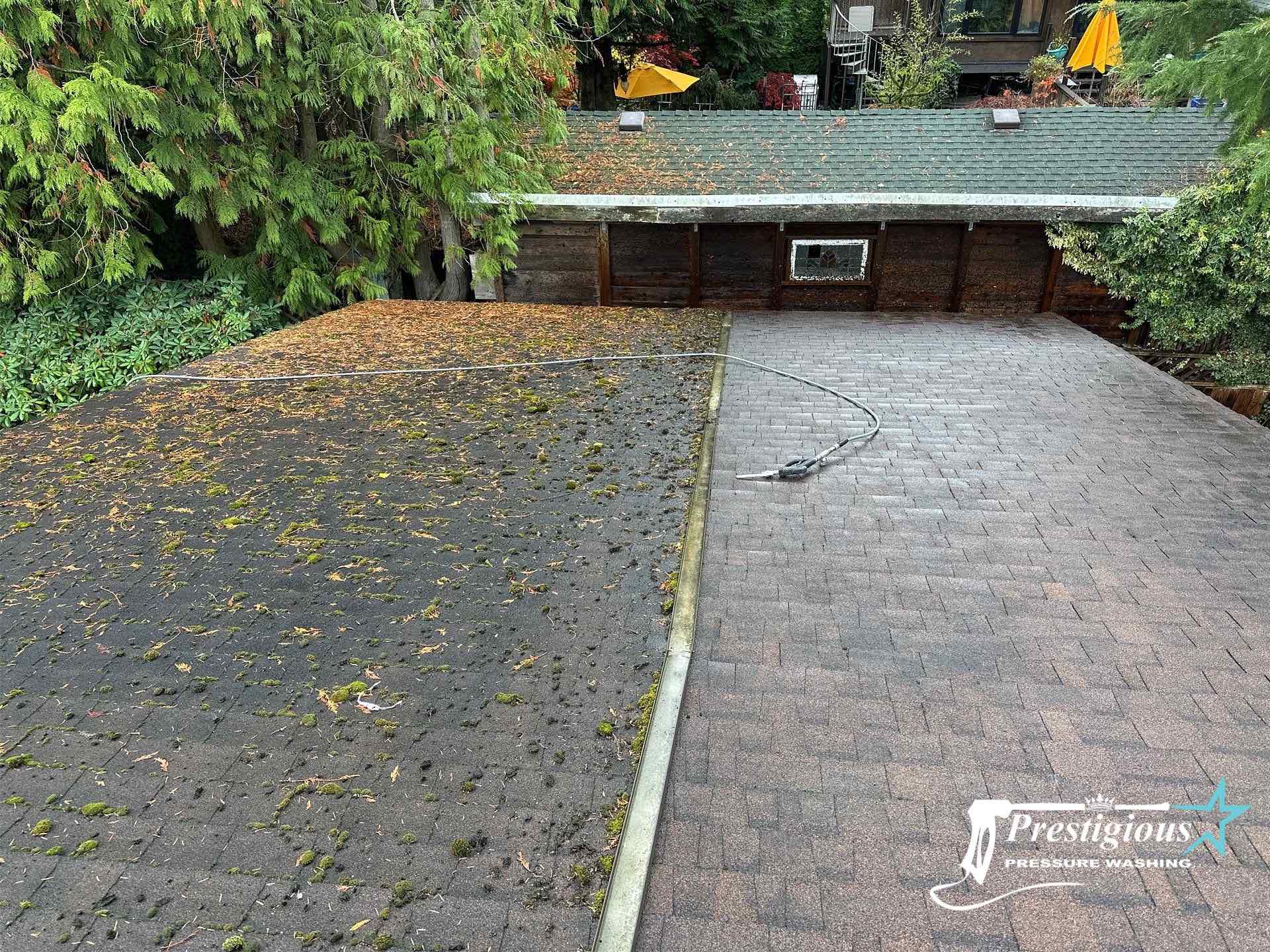 Vancouver moss cleaning and roof soft wash cleaning